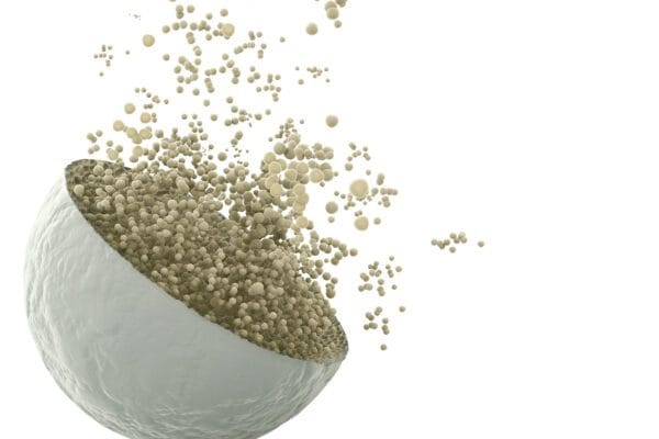 KW Activ Rumen S.C. (25 KG)
