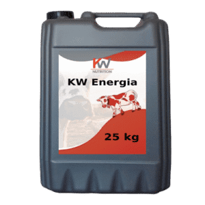 KW Energia - gliceryna min. 80% (25 KG)