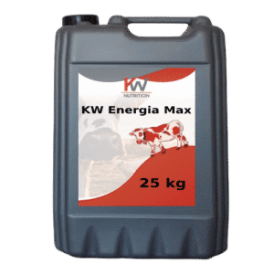 KW Energia Max - gliceryna min. 99,5% (25 KG)